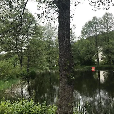 شقة Myschluchseehome Gemuetliche Mit Suedbalkon Und Pool Im Haus سشلوشسي