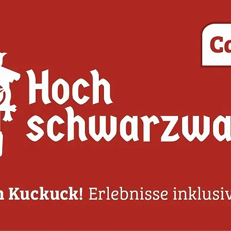 Appartement Myschluchseehome Gemuetliche Mit Suedbalkon Und Pool Im Haus