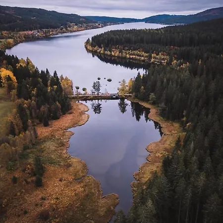 شقة Myschluchseehome Gemuetliche Mit Suedbalkon Und Pool Im Haus *