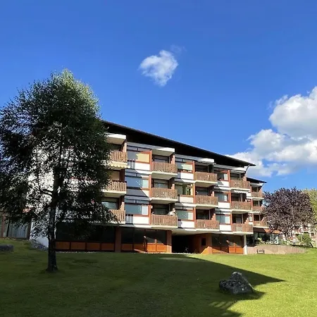 Lejlighed Myschluchseehome Gemuetliche Mit Suedbalkon Und Pool Im Haus *