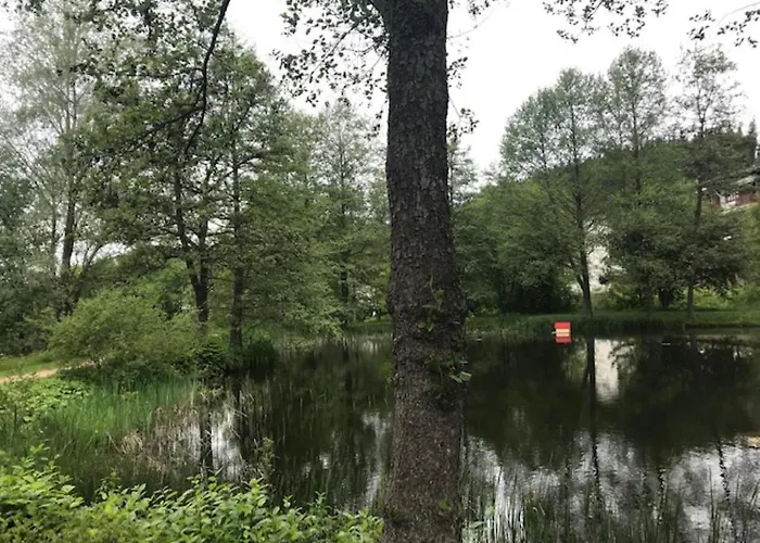 Lejlighed Myschluchseehome Gemuetliche Mit Suedbalkon Und Pool Im Haus Schluchsee