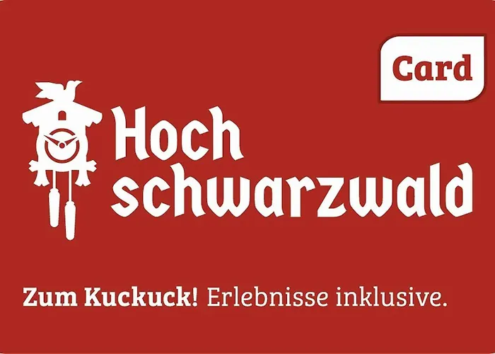 Lejlighed Myschluchseehome Gemuetliche Mit Suedbalkon Und Pool Im Haus