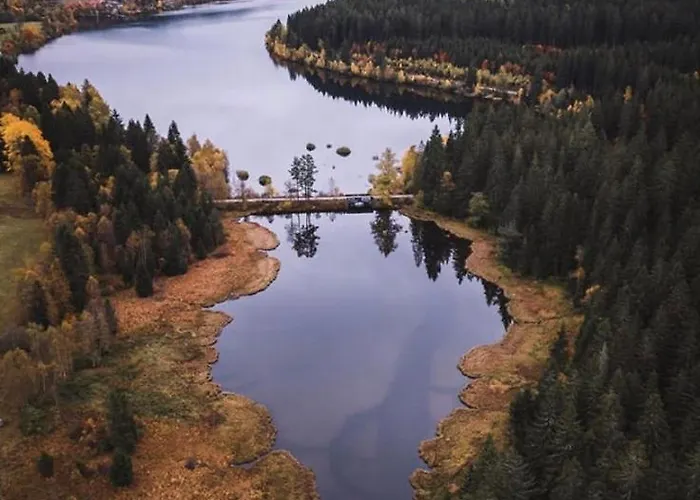شقة Myschluchseehome Gemuetliche Mit Suedbalkon Und Pool Im Haus *