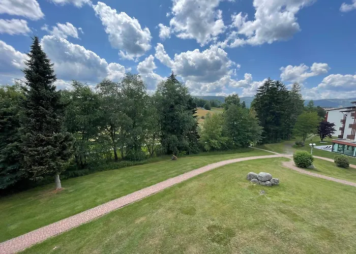 شقة Myschluchseehome Gemuetliche Mit Suedbalkon Und Pool Im Haus *