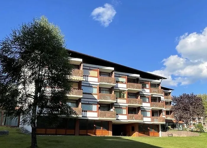 Lejlighed Myschluchseehome Gemuetliche Mit Suedbalkon Und Pool Im Haus *